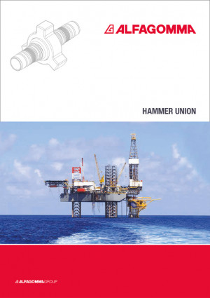 hammer union